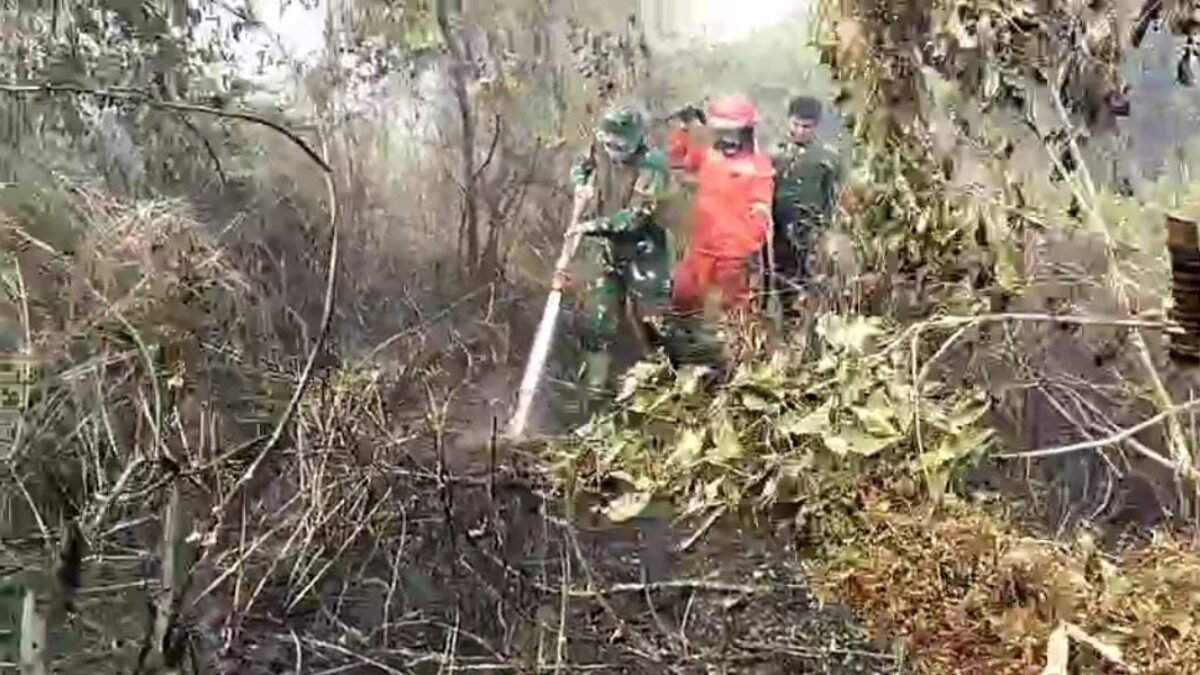 Dandim 1001/HSU Aktif Ikut Padamkan Kebakaran di Pulau Damar