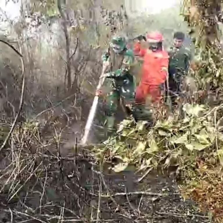 Dandim 1001/HSU Aktif Ikut Padamkan Kebakaran di Pulau Damar