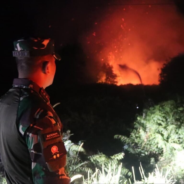 Pulang Pisau: Kodim 1011/KLK dan Manggala Agni Sukses Padamkan Titik Api di Tumbang Nusa