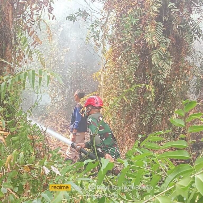 Helikopter Water Bombing Dikerahkan, Korem 101/Antasari Terlibat Atasi Karhutla di 17 Titik Kalsel