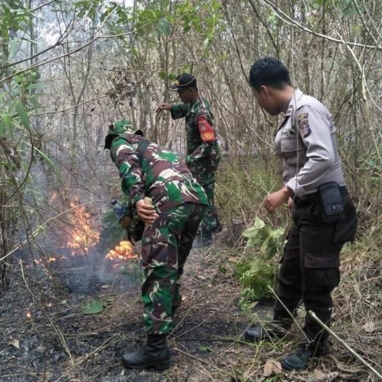 Hotspot Terpantau di Batu Balai, Koramil Bengkal Gerak Cepat