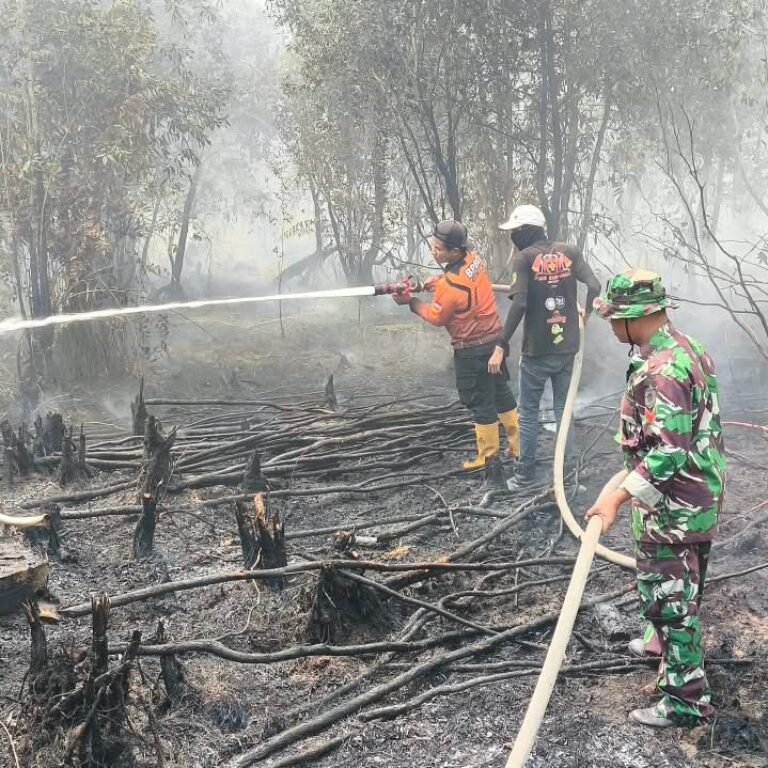 Api Lalap Semak Belukar di Sungai Rutas Hulu, Tim Gabungan Turun dengan 3 Mesin Portabel