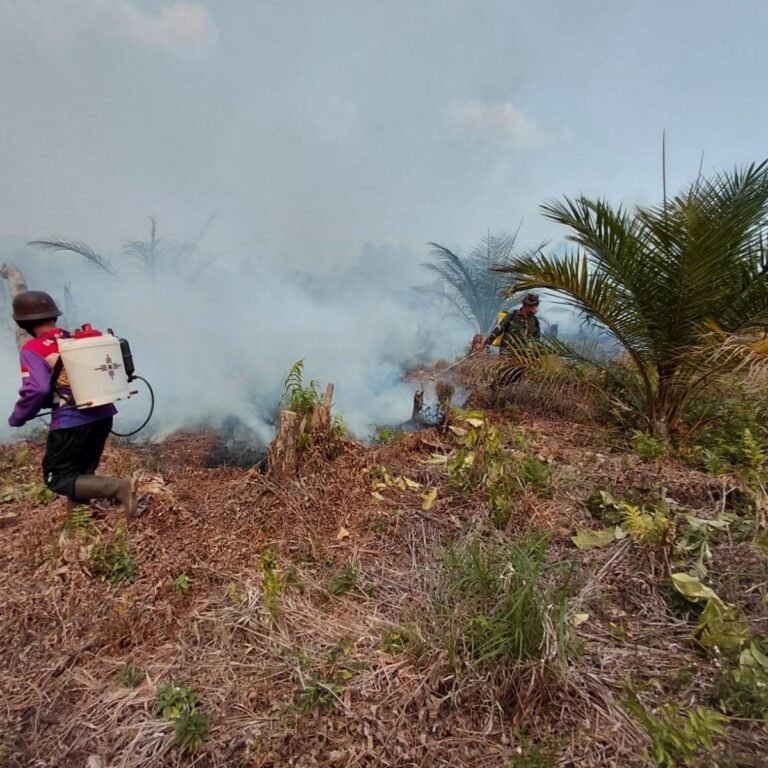 Sigap, Koramil 1203-01/Nanga Tayap Bersama Instansi Atasi Karhutla di Ketapang