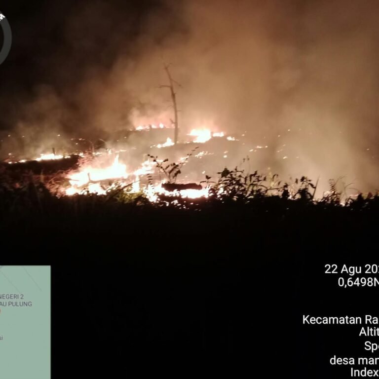 Petaka Pembakaran Rintisan: 1 Hektare Semak di Manunggal Jaya SP5 Terbakar