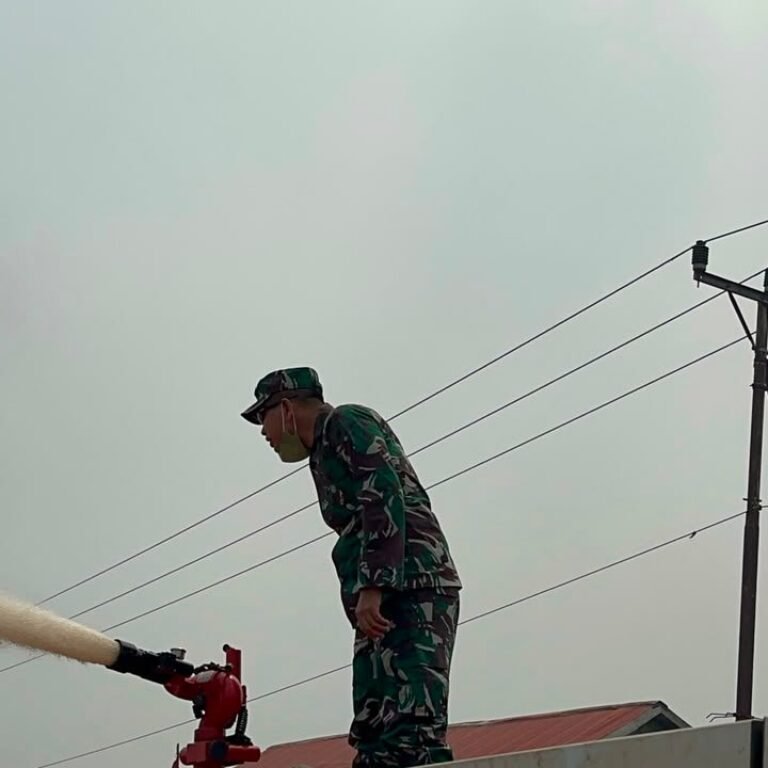 Ketapang Sigap: Dandim 1203/Ketapang Pimpin Pemadaman Karhutla Bersama Instansi Lain