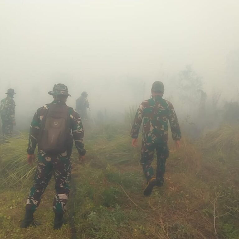 Kekurangan Air Memperumit Operasi Pemadaman Karhutla di Banjarbaru, Kodim 1006/Banjar Siapkan Sumur Bor