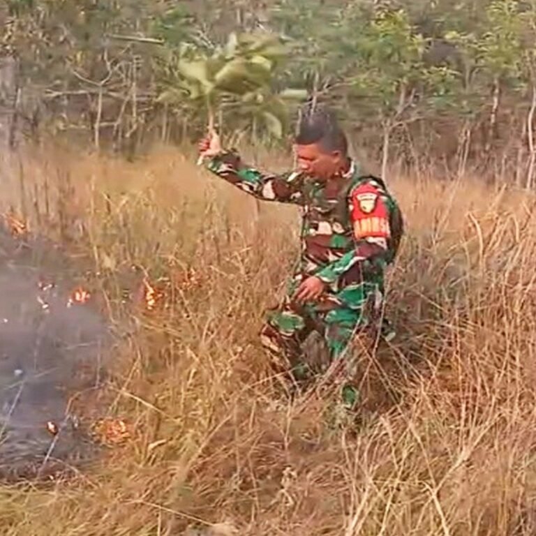 Babinsa Merauke dan Warga Padamkan Api di Pinggir Jalan Poros Sermayam Indah