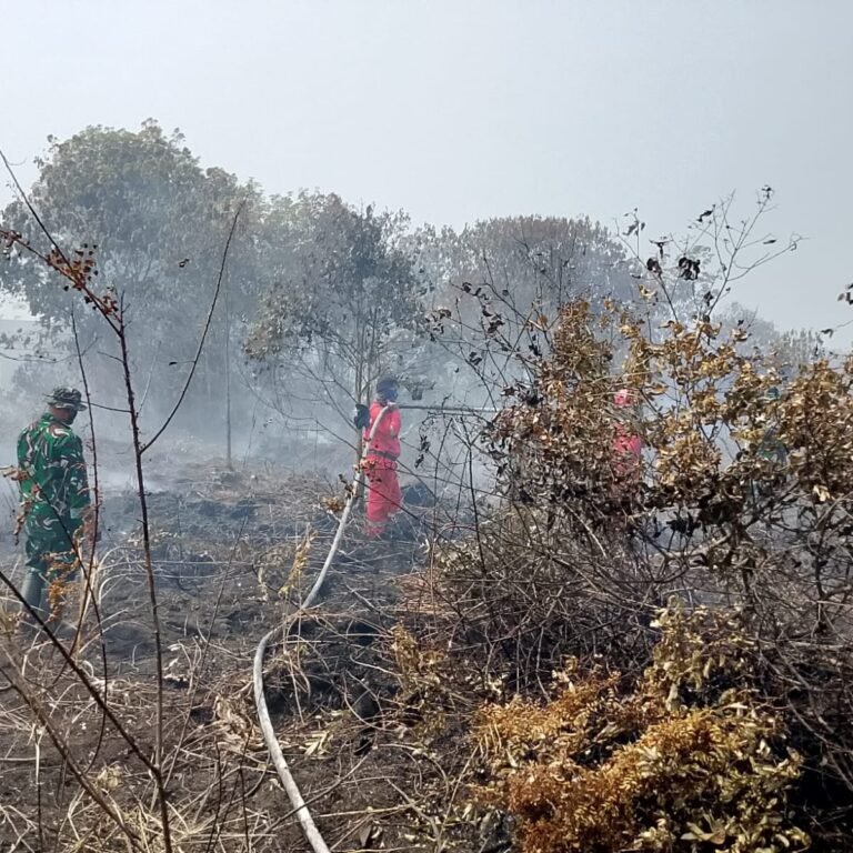 0,6 Hektare Lahan Gambut di Desa Beringin Terbakar, Api Berhasil Dipadamkan