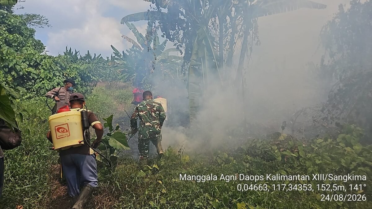 Pemadaman Berhasil Terkendali, 3 Hektare Hutan Kutai Timur Terbakar