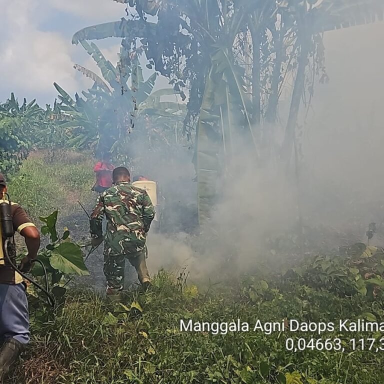 Pemadaman Berhasil Terkendali, 3 Hektare Hutan Kutai Timur Terbakar