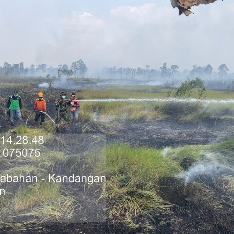 Asap dan Api Kembali Mengancam, Lahan 3 Hektare di Masta Terbakar