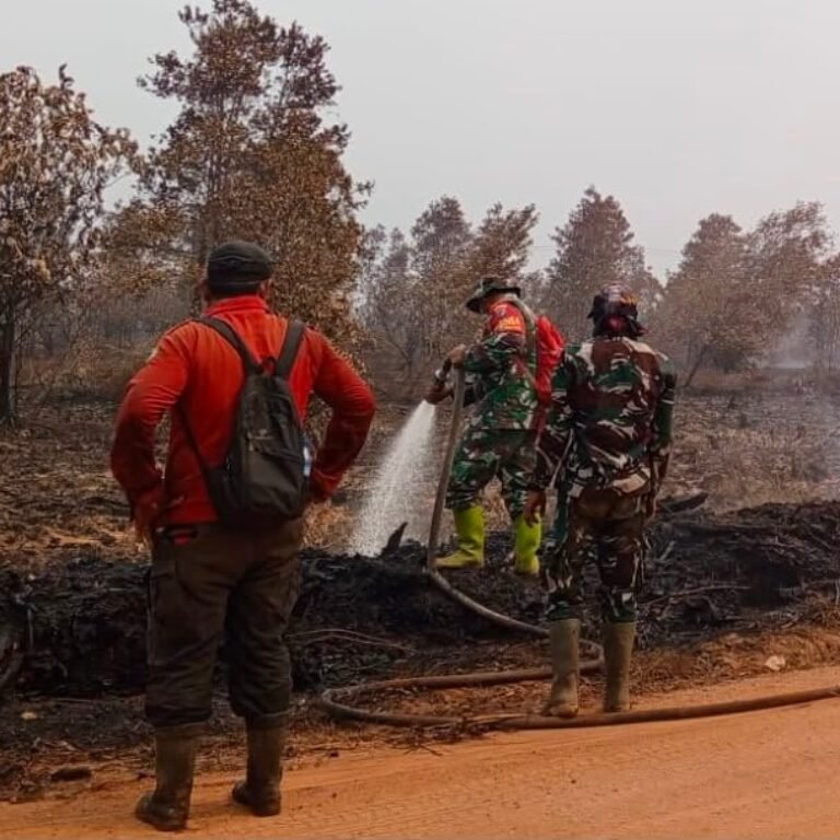 Bahu-membahu, Petugas dan Warga Padamkan Karhutla di Sungai Laur