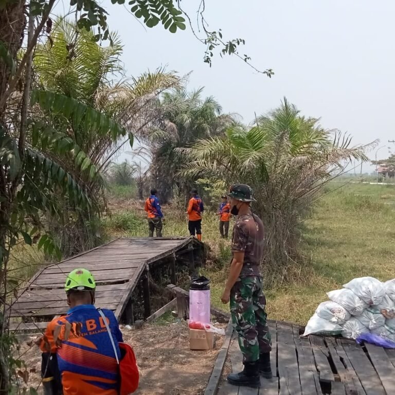 Upaya Bersama Antisipasi Karhutla di Trans Papuyuan Diperketat