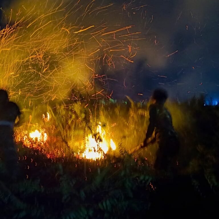 Respons Cepat Aparat dan Warga Padamkan Kebakaran Lahan 0,5 Hektare di Palukahan