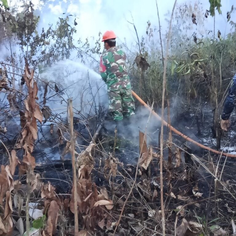 TNI AD dari Koramil 1203-06/Manis Mata Padamkan Karhutla di Desa Batu Sedau