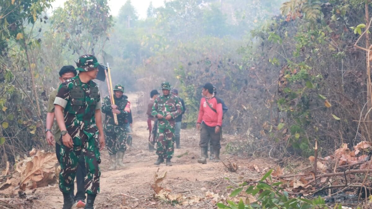 Dandim 1004/Kotabaru Turun Bersama Satgas Karhutla Padamkan Api di Pulau Laut Barat