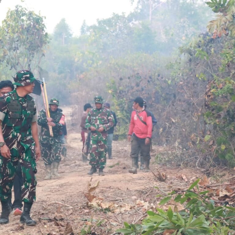 Dandim 1004/Kotabaru Turun Bersama Satgas Karhutla Padamkan Api di Pulau Laut Barat