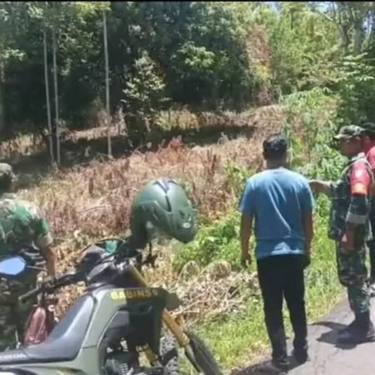 Cegah Karhutla, Babinsa Paya Seunara Rutin Patroli di Jurong Teupin Blang