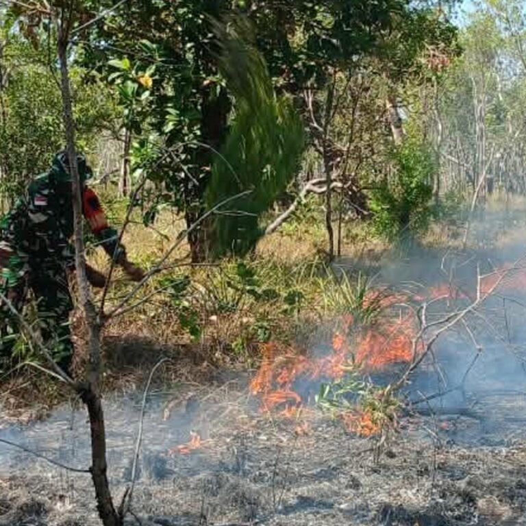Koramil Sota Sigap Redam Api di Sekitar Hutan Kampung Sota