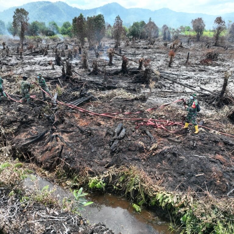 Tim TNI-BPBD Fokus Basahi Titik Asap di Karhutla Gampong Drien