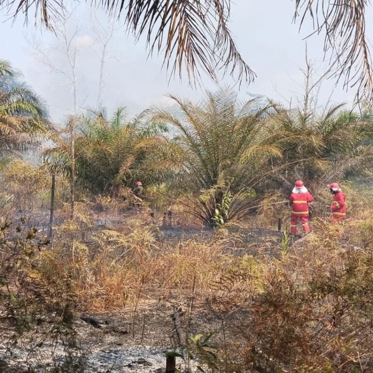 Babinsa dan Mitra Kerahkan Upaya Darurat Padamkan Karhutla di Ketapang