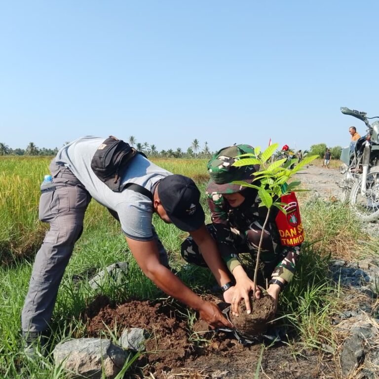 Pohon-Pohon Ditanam Sepanjang Jalan TMMD di Tamban Bangun sebagai Investasi Lingkungan