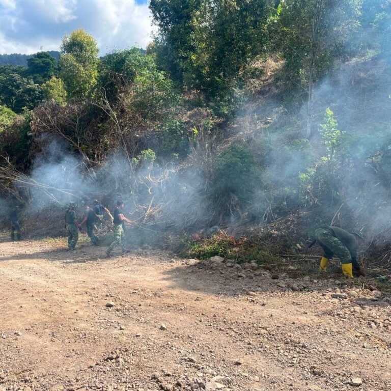 Ruang Kerja Terbuka Usai Pembersihan Semak, Tahap Pembangunan TMMD Lebih Lancar