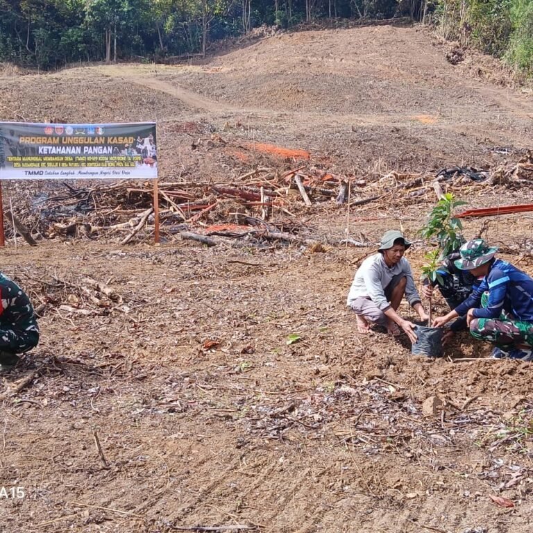 Transformasi Lereng Batulappa: Bibit Alpukat Tanam Harapan Baru