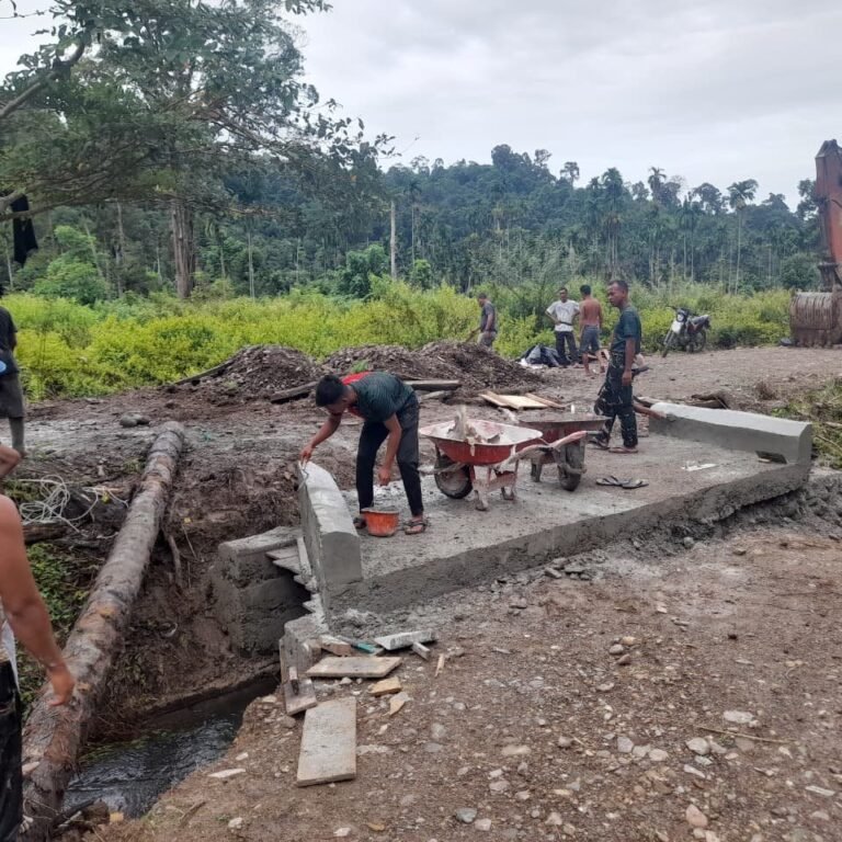 Halaman Rumah Diubah Jadi Kebun Hidroponik, Warga Simeulue Panen Manfaat