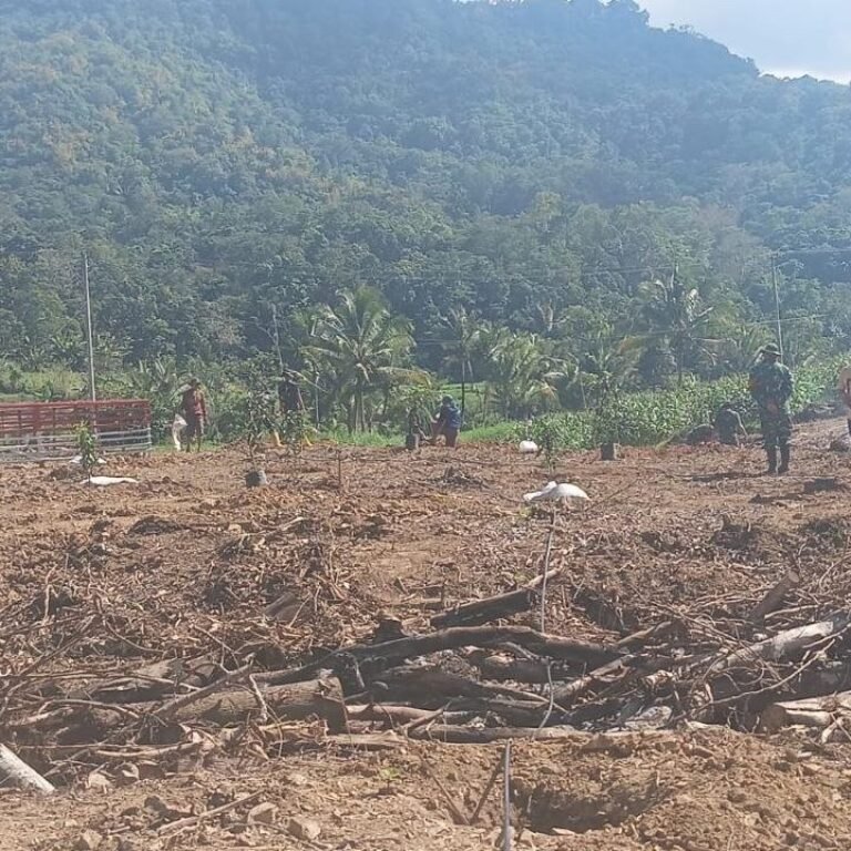 Upaya Penghijauan di Bontocani: Bibit Alpukat Disiapkan untuk Ketahanan Pangan