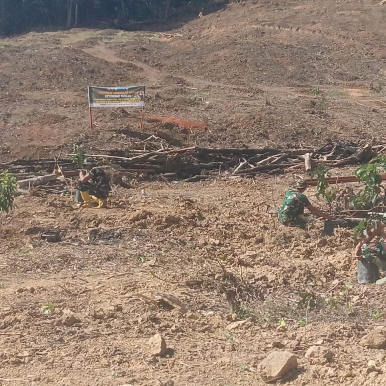 Bibit Alpukat Ditanam di Batulappa, Langkah Pelestarian Lingkungan TMMD ke-129