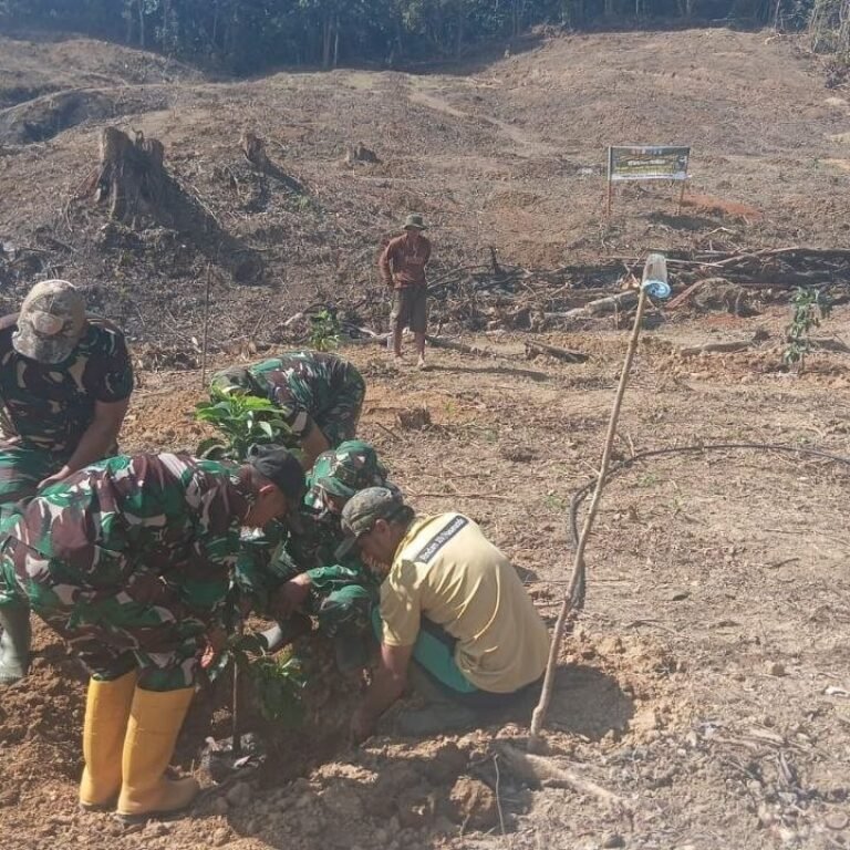 Lanjutan Penghijauan di Batulappa: Bibit Alpukat Disebar untuk Masa Depan Pangan