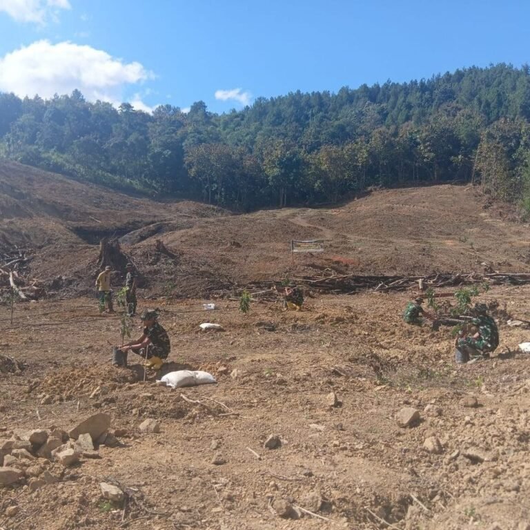 Dusun Batulappa Ditanami Alpukat oleh Satgas TMMD, Warga Dapat Manfaat Produktif