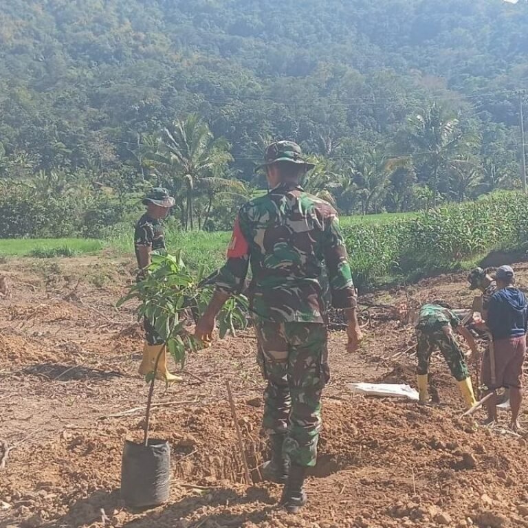 Dusun Batulappa Jadi Lokasi Lanjut Penanaman Alpukat dalam Sasaran Nonfisik TMMD