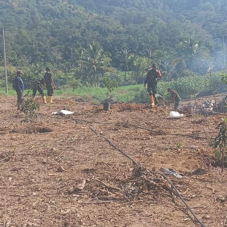 Penghijauan Bernilai Ekonomi: Satgas TMMD Tanam Alpukat di Batulappa
