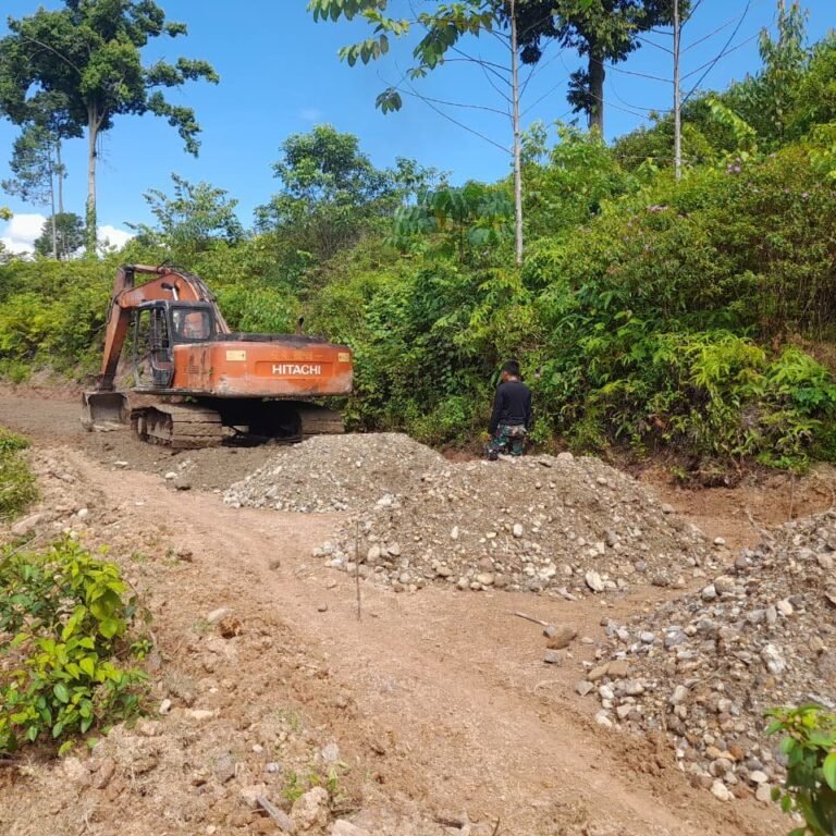 Excavator Kerja Rapi Bentuk Badan Jalan di Sarah Raya