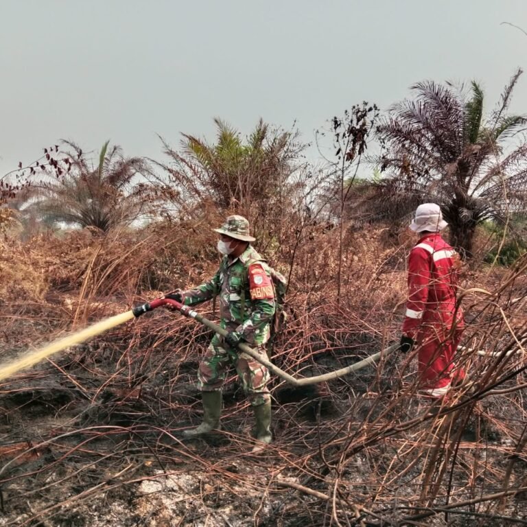 Sigap Tangani Karhutla, Koramil 1203-11/Sph Bersama Tim Gabungan Berjibaku Padamkan Api