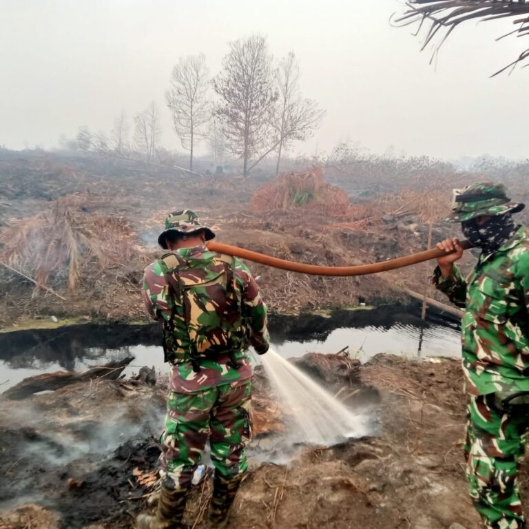 Koramil 1203-13/MHS Bersama Tim Gabungan Tangani Karhutla di Wilayah Matan Hilir Selatan