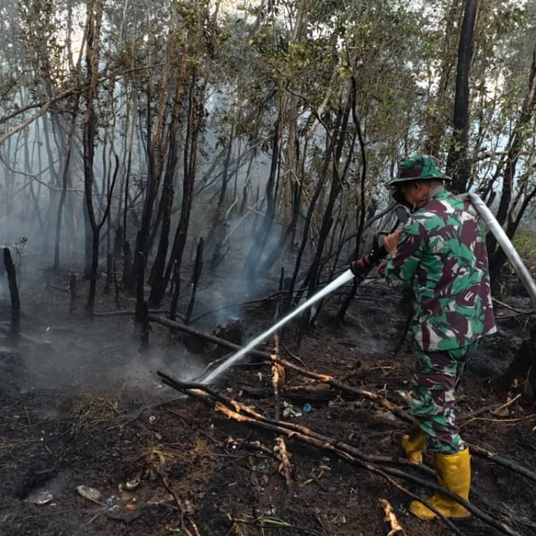 Satu Hektare Lahan Terbakar, Tim Karhutla Kodim 1006/Banjar Lakukan Penyekatan Api