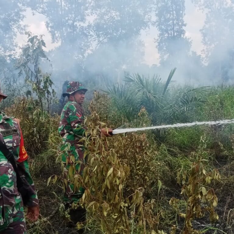 Koramil 1203-14/Jelai Hulu Bergerak Cepat Padamkan Karhutla