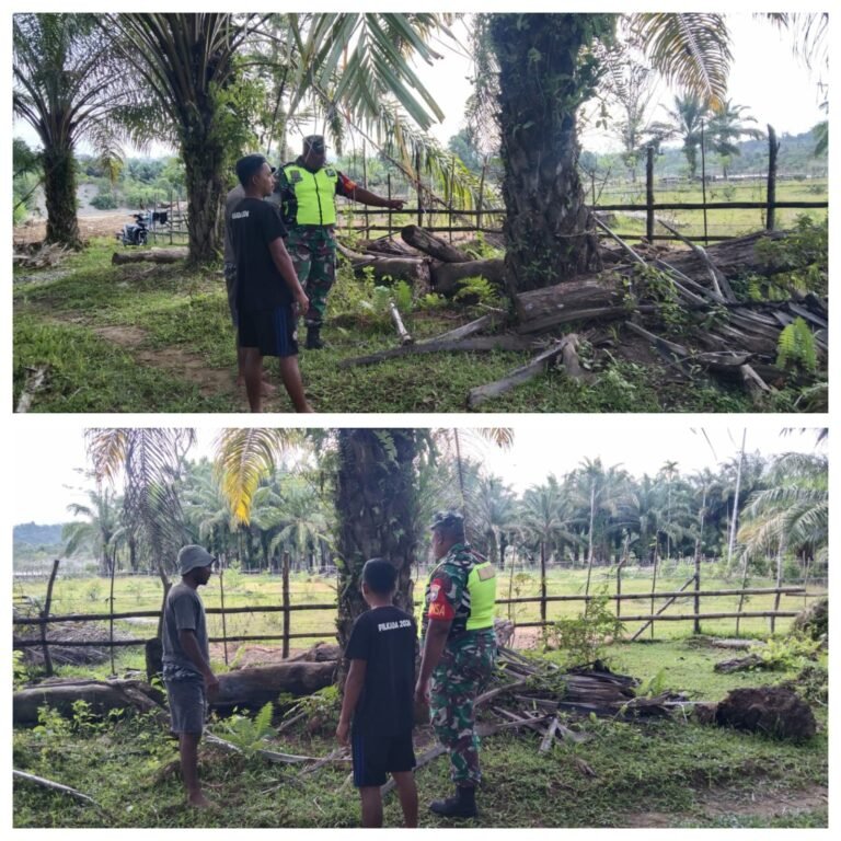 Rawat Kebun Tanpa Bakar Lahan, Babinsa Sungai Mas Dorong Warga Cegah Karhutla
