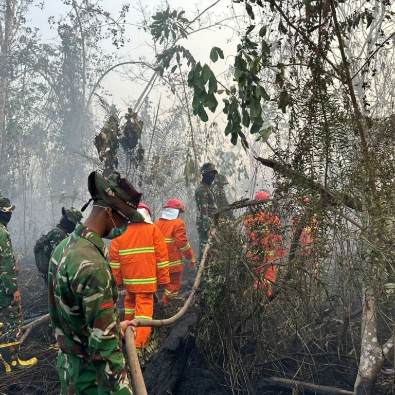 Hotspot Karhutla Menurun, Dandim 1203/Ketapang Ingatkan Masyarakat Tetap Waspada
