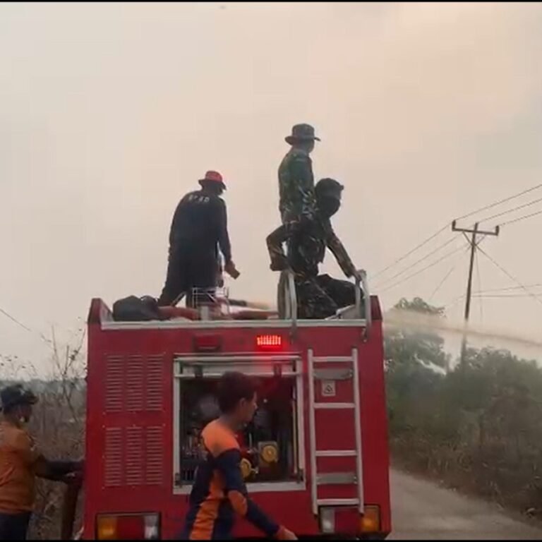 Koramil 1203-13/MHS Terus Lakukan Penanganan Karhutla di Desa Pelang