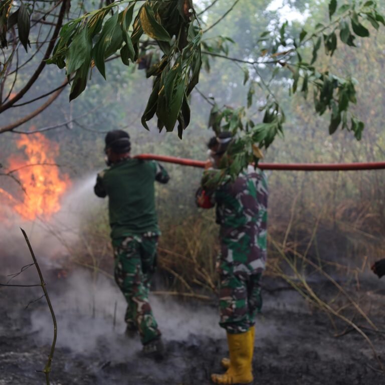 Satu Hektare Lahan Terbakar di Griya Utama, Kodim 1006/Banjar Turunkan Dua Truk Damkar