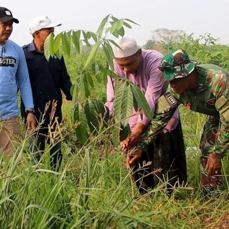 Sambut HUT Ke 81 TNI, Kodim 1003/HSS Tanam 1.000 Pohon di Desa Mandala