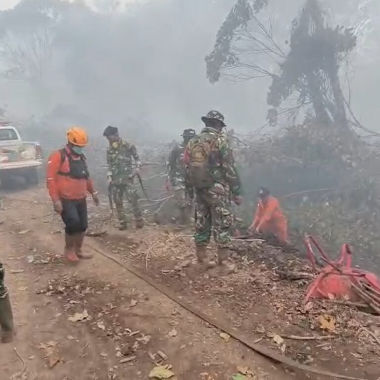 Koramil 1203-02/Sukadana Bersama Tim Gabungan Terus Berupaya Padamkan Karhutla