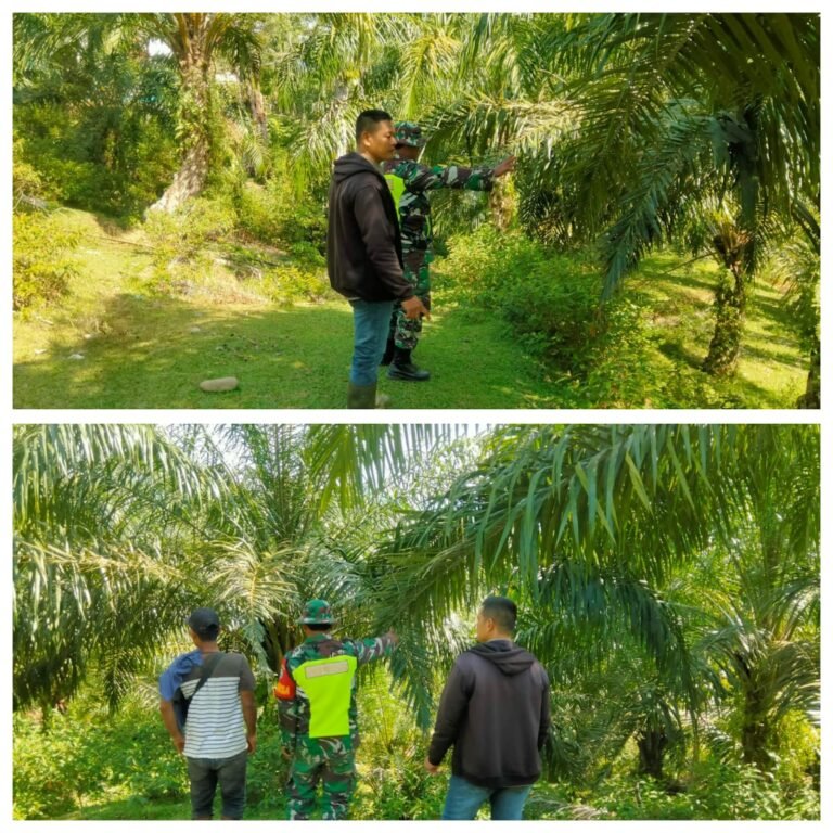 Musim Kemarau Tiba, Babinsa Sungai Mas Ingatkan Warga Waspadai Potensi Kebakaran