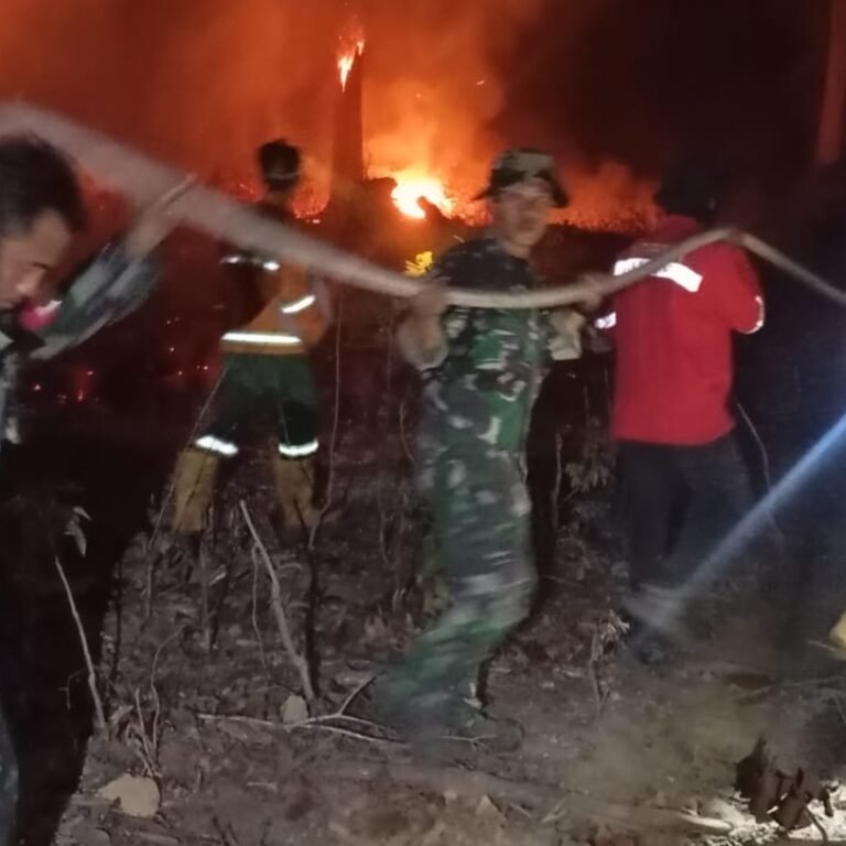 Tim Gabungan Padamkan Karhutla di Sangkulirang, Lahan Sekitar 3 Hektare Terbakar