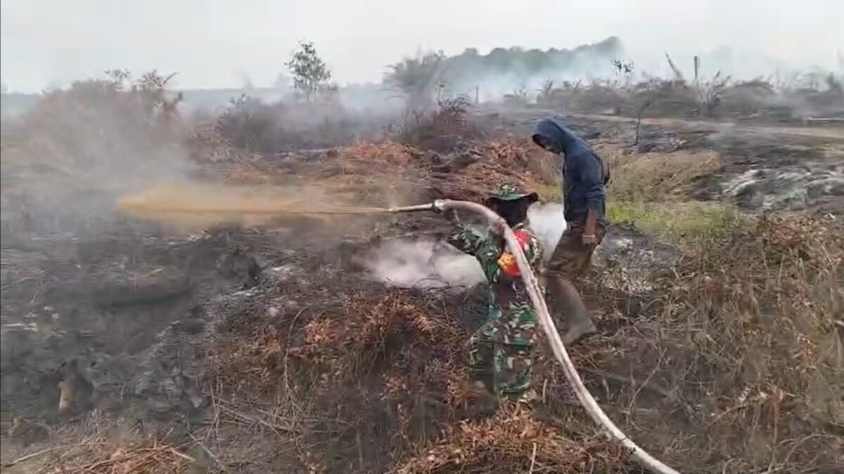Koramil 1203-06/Manis Mata Gerak Cepat Tangani Karhutla, Cegah Api Meluas