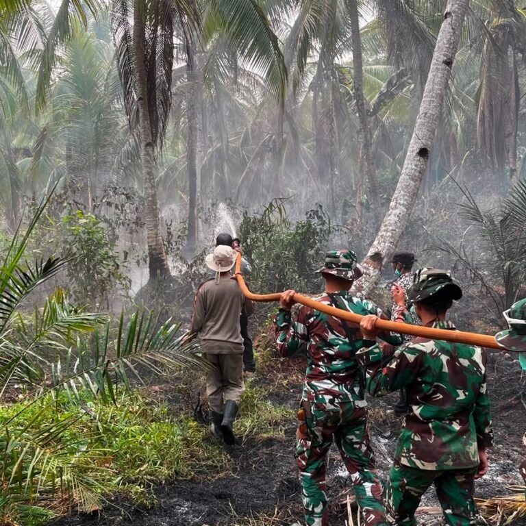 Gerak Cepat Koramil 1203-08/Pulau Maya Karimata Tangani Karhutla